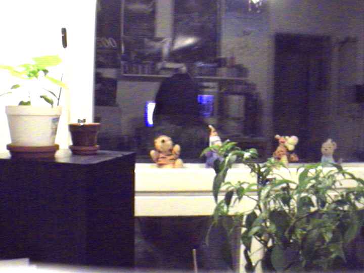 Webcam image